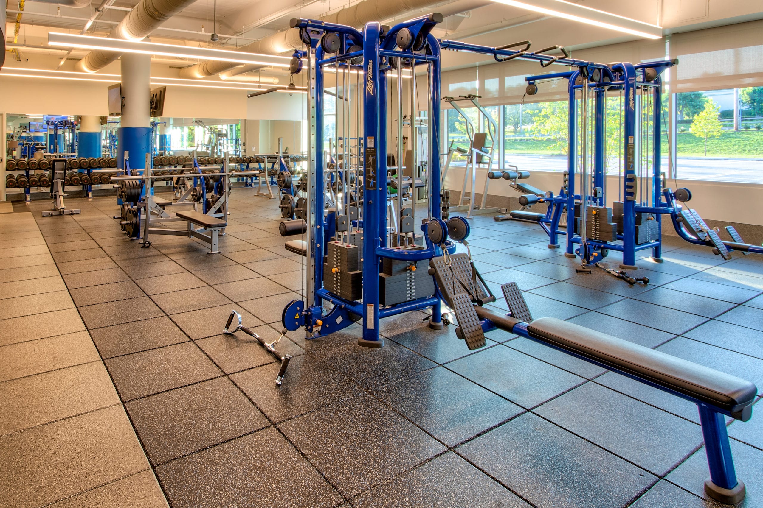 Strength and Conditioning - Main Line Gym